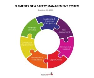 Safety Management Systems - Definition & Examples - BusinessBasics